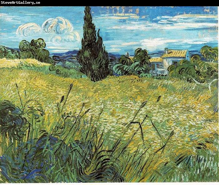 Vincent Van Gogh Green Wheat Field with Cypress